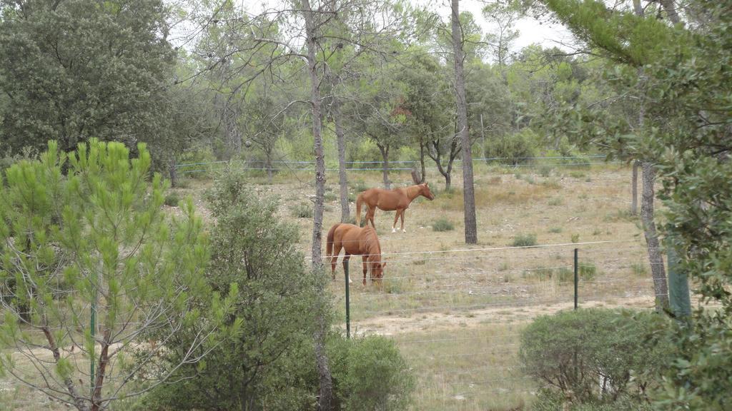 Bungalow Claret Vacquières Εξωτερικό φωτογραφία