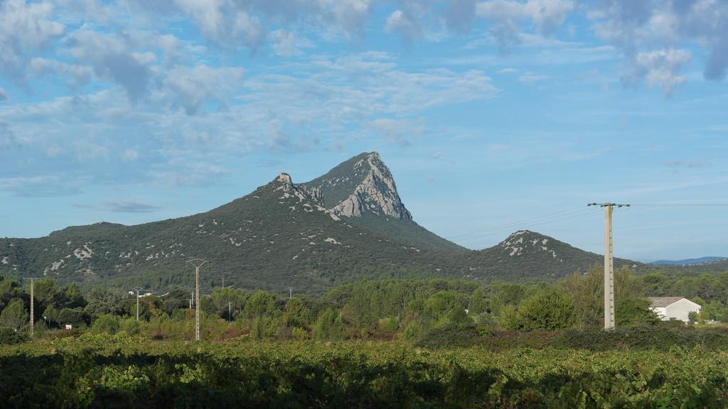 Bungalow Claret Vacquières Εξωτερικό φωτογραφία